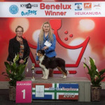 Groningen 2015 : Nash beste baby